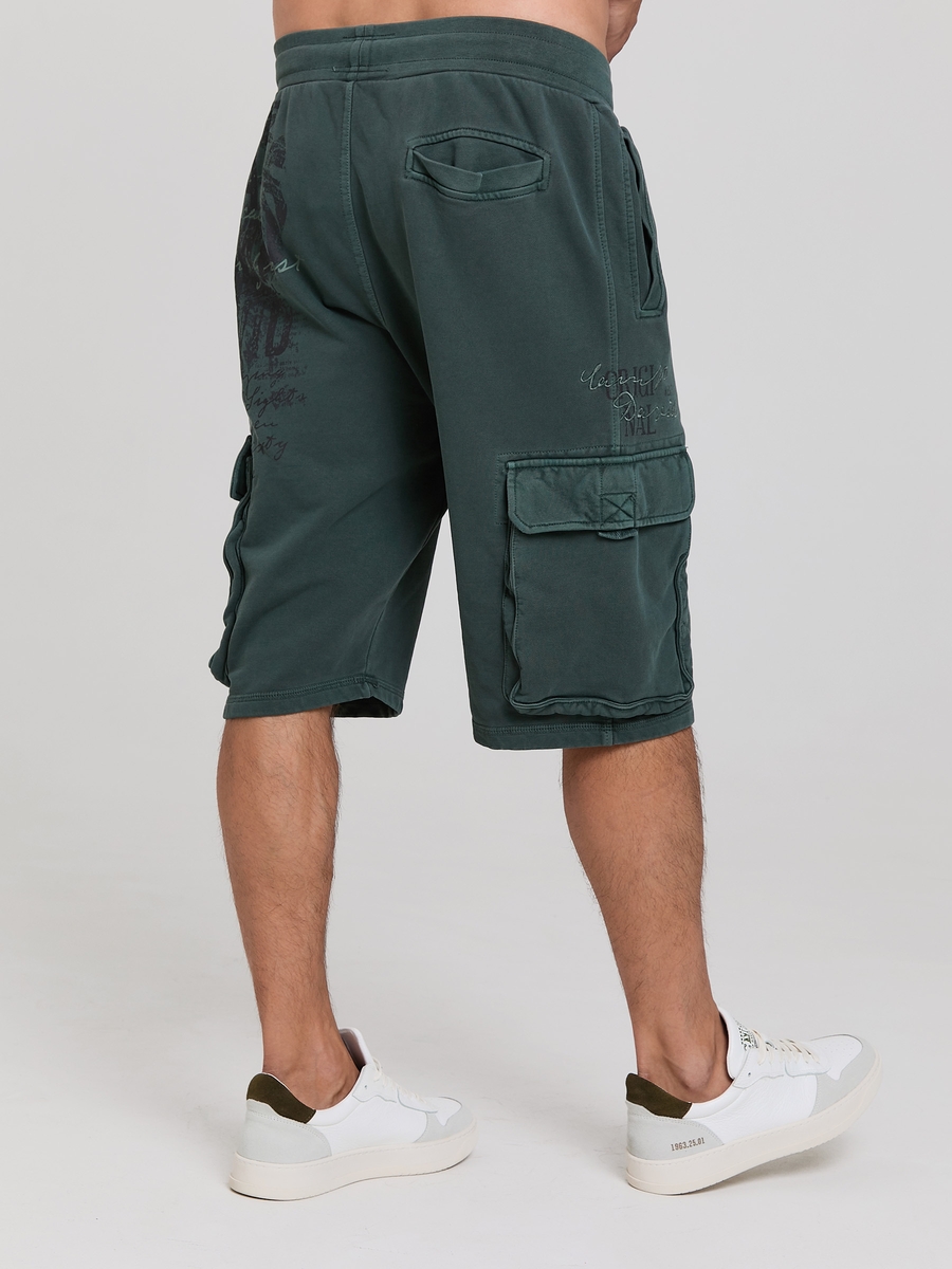 шорты трикотажные green shadow