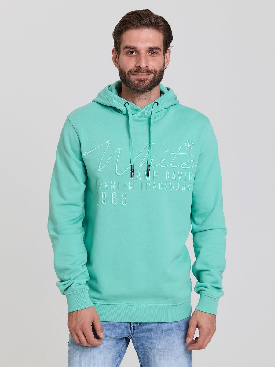 худи nordic green