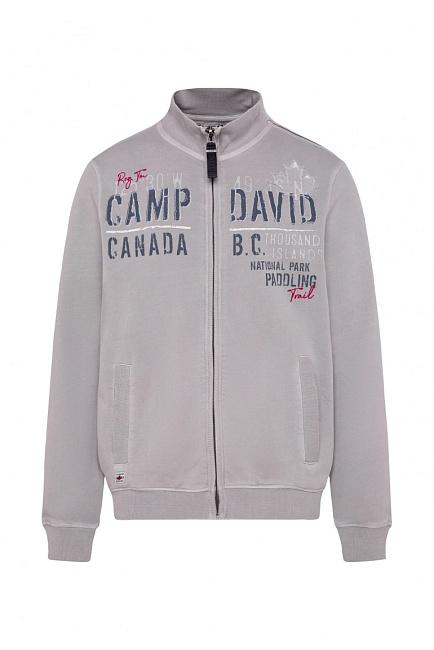 толстовка polo grey