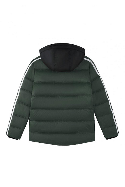 куртка dark forest