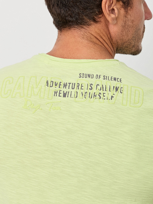 футболка poison ivy